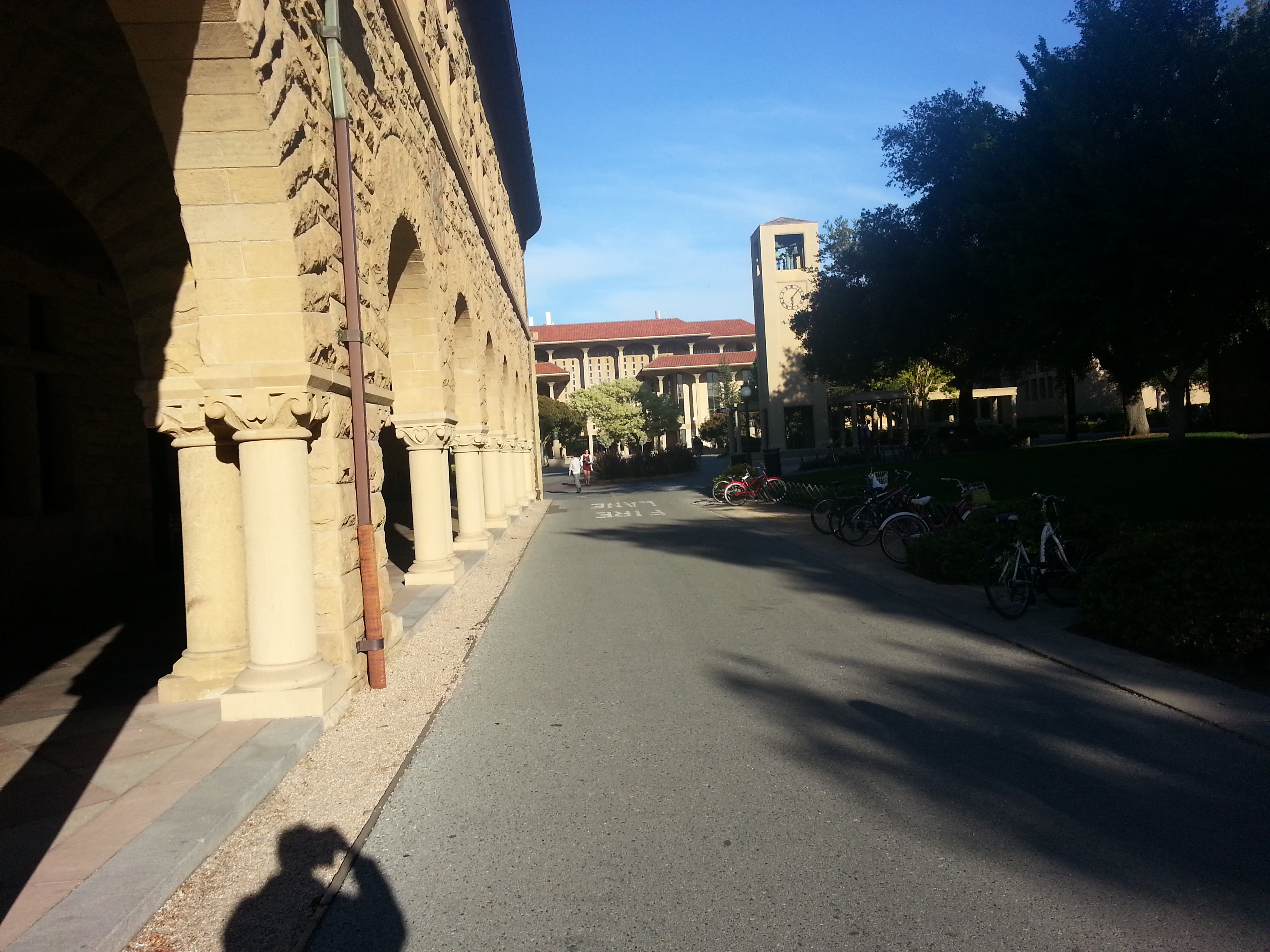 Sunny Stanford Campus